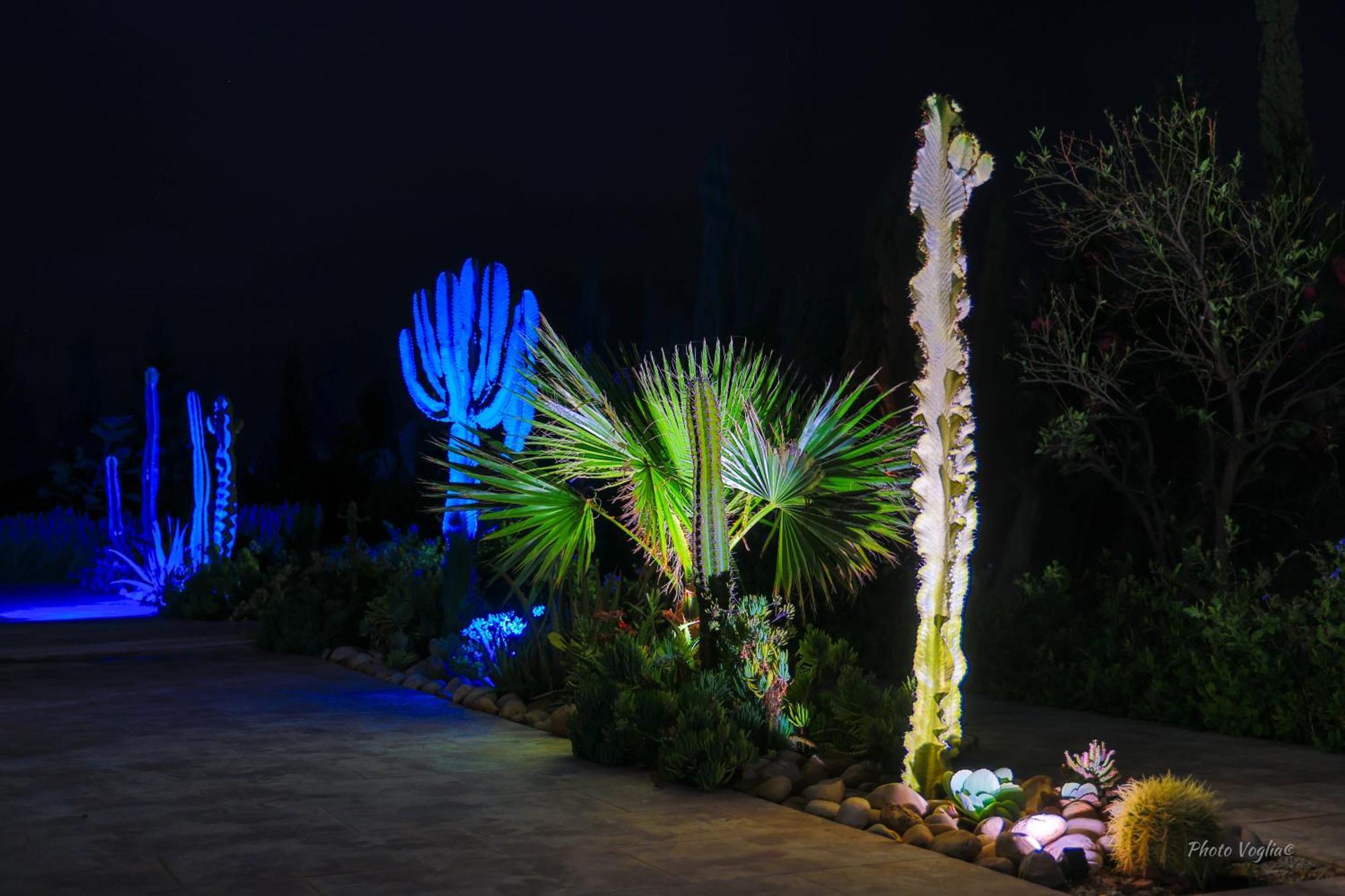 Villa Arganina Piscine Chauffee Εσαουίρα Εξωτερικό φωτογραφία